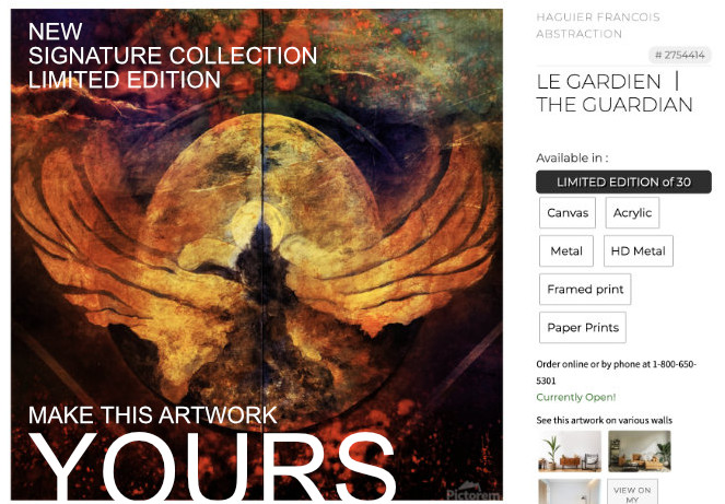 Limited editions Fine art